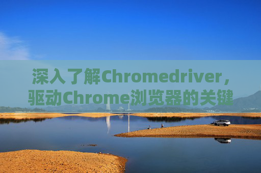 深入了解Chromedriver，驱动Chrome浏览器的关键工具