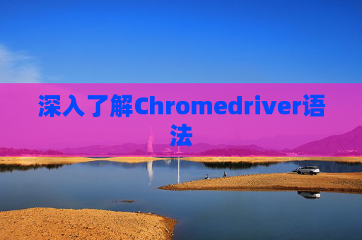 深入了解Chromedriver语法